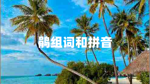 鵑組詞和拼音 鵑組詞和拼音