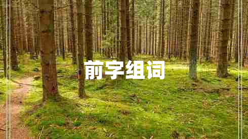 前字組詞