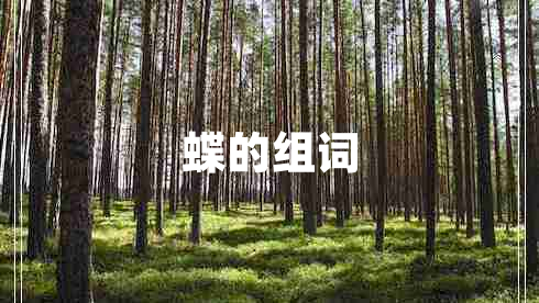 蝶的組詞