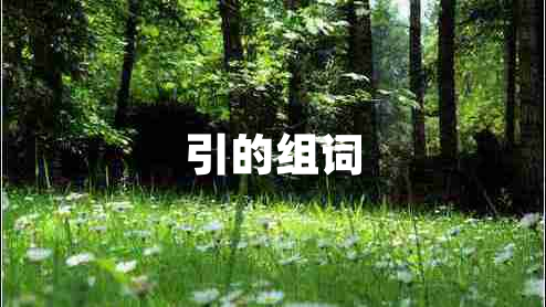 引的組詞 引的組詞