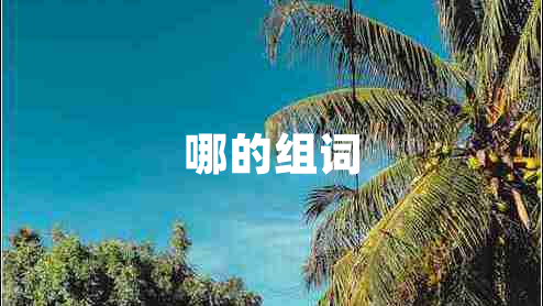 哪的組詞