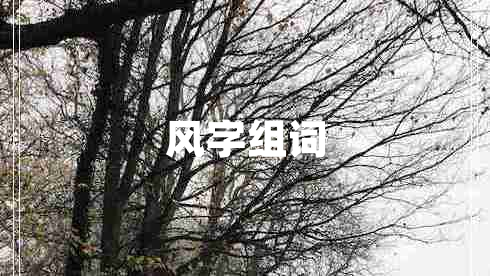 風(fēng)字組詞