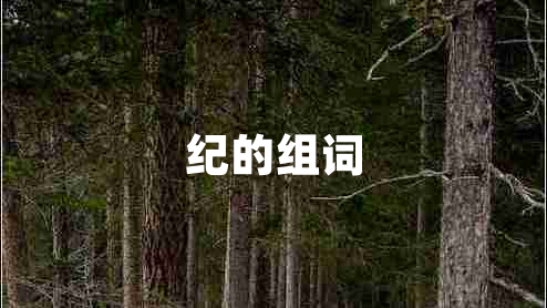 紀(jì)的組詞