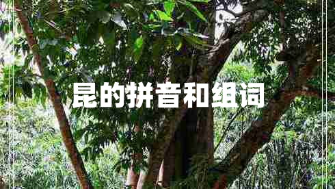 昆的拼音和組詞