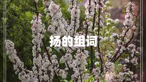 揚的組詞 揚的組詞