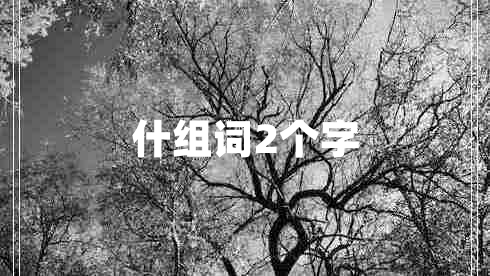 什組詞2個(gè)字