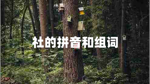 社的拼音和組詞 社的拼音和組詞