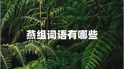 燕組詞語有哪些