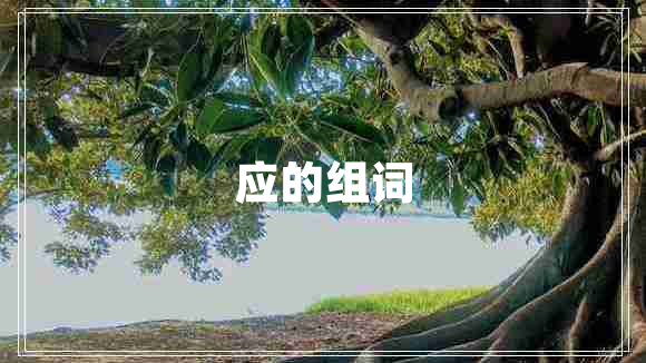 應(yīng)的組詞