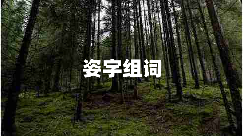 姿字組詞 姿字組詞