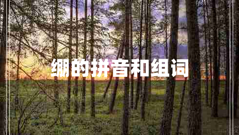 繃的拼音和組詞