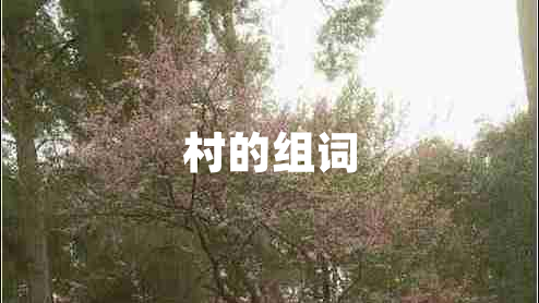 村的組詞
