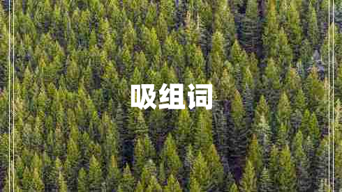 吸組詞 吸組詞