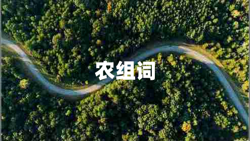 農(nóng)組詞