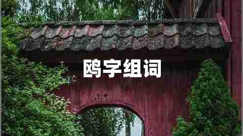 鷗字組詞