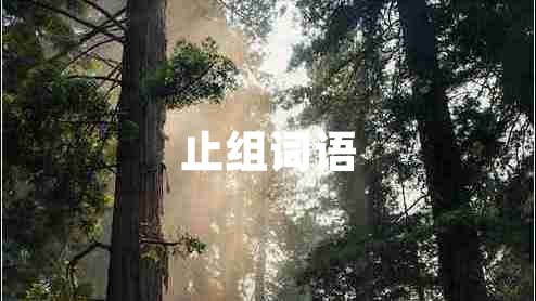 止組詞語(yǔ)