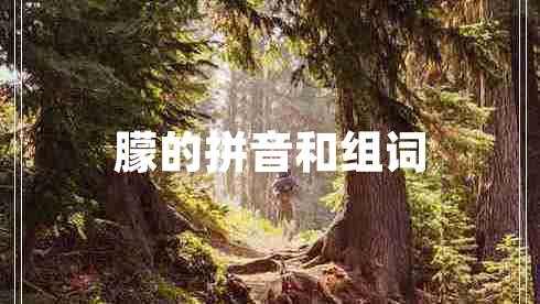 朦的拼音和組詞 朦的拼音和組詞