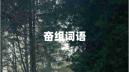 奮組詞語 奮組詞語