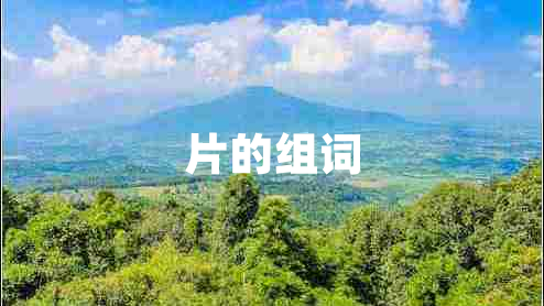 片的組詞