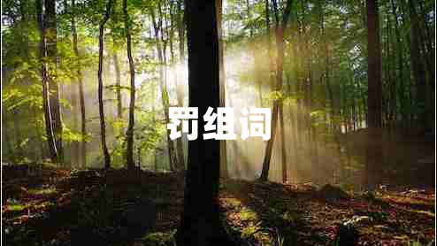 罰組詞 罰組詞