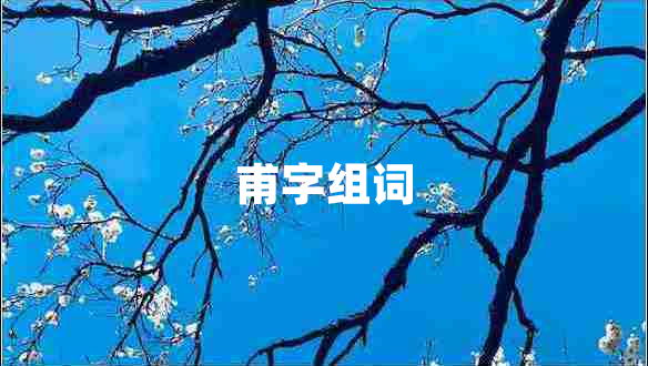 甫字組詞 甫字組詞