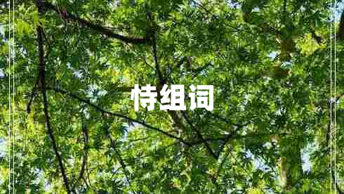 恃組詞 恃組詞
