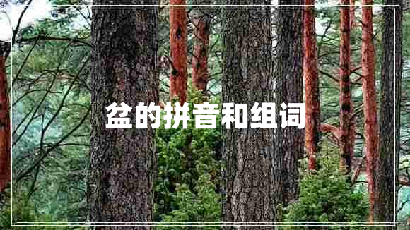 盆的拼音和組詞