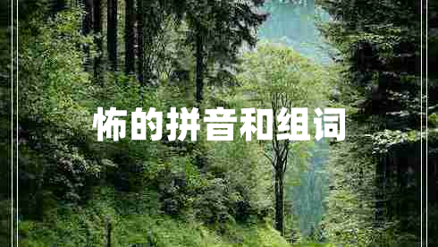 怖的拼音和組詞