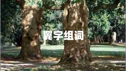 翼字組詞 翼字組詞