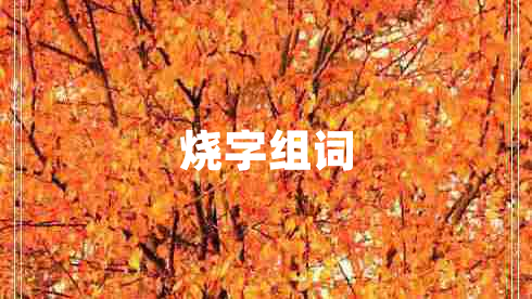 燒字組詞
