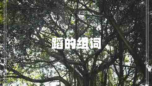 蹈的組詞 蹈的組詞