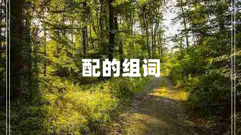 配的組詞
