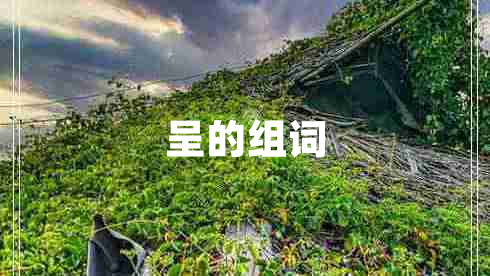 呈的組詞 呈的組詞