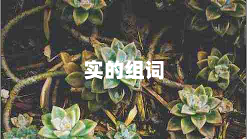 實的組詞