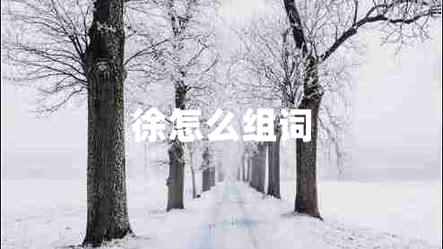 徐怎么組詞 徐怎么組詞