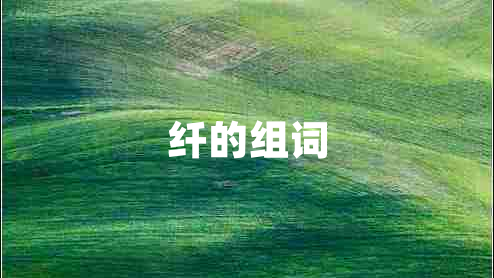 纖的組詞 纖的組詞
