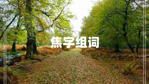 焦字組詞 焦字組詞