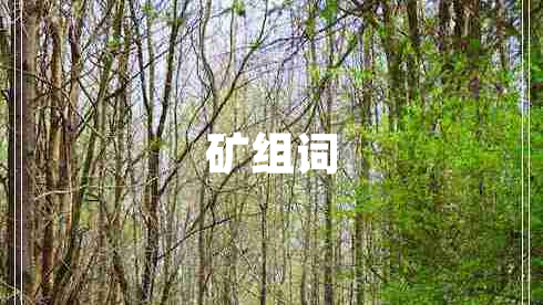礦組詞