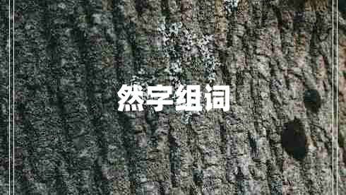 然字組詞 然字組詞