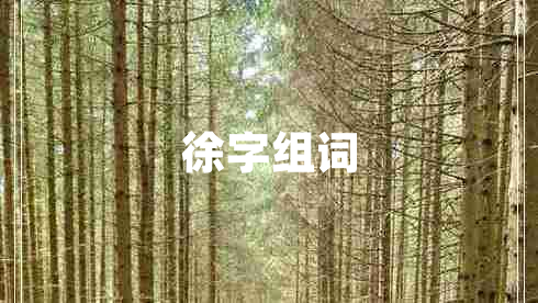 徐字組詞
