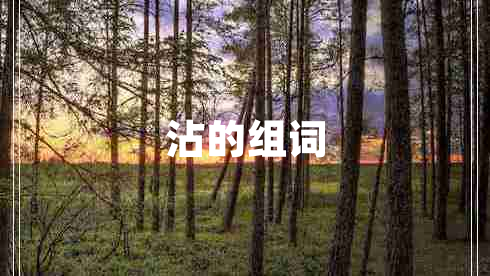 沾的組詞 沾的組詞