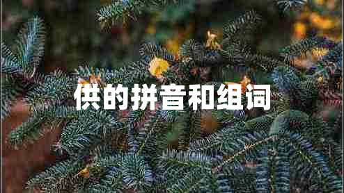 供的拼音和組詞 供的拼音和組詞