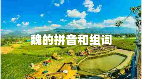 魏的拼音和組詞