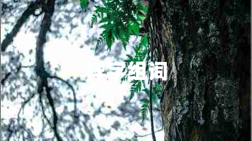 樣字組詞 樣字組詞