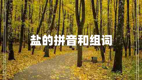 鹽的拼音和組詞