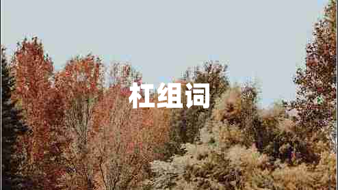 杠組詞