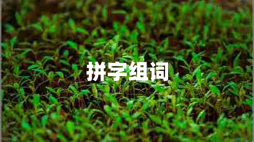 拼字組詞