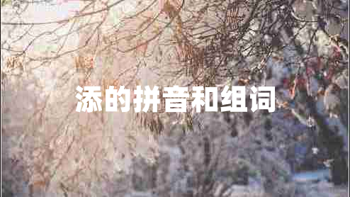 添的拼音和組詞 添的拼音和組詞