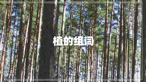 植的組詞 植的組詞