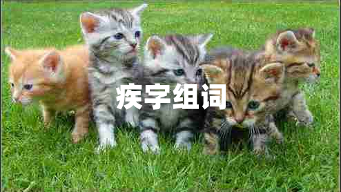 疾字組詞